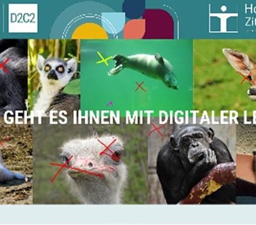 Auf einem Screenshot sind verschiedene Tiere und farbige Kreuze hinterlegt mit dem Schriftzug: Wie geht es Ihnen mit digitaler Lehre?