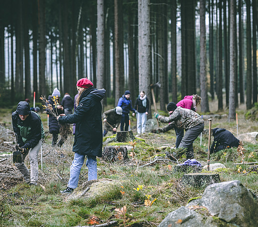 Student group in the forest