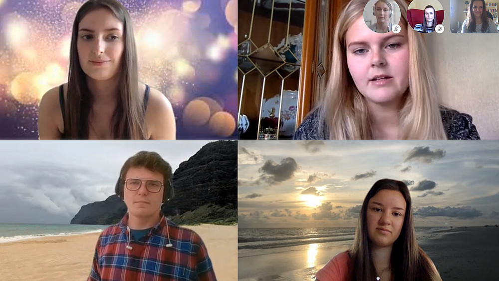 Screenshot of the Skype conference