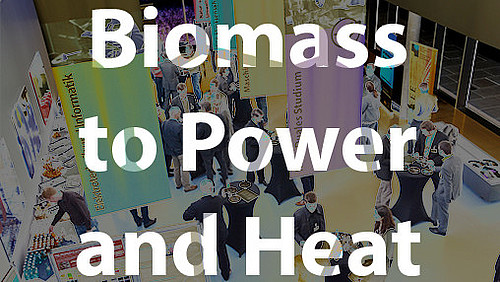 Biomass to Power and Heat