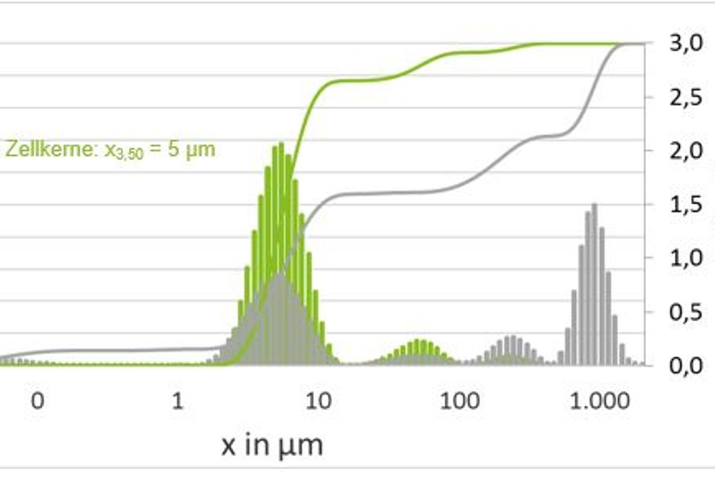 Particle size distribution of cell nuclei and cell homogenate