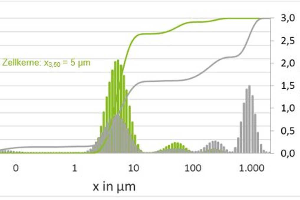 Partikelgrößenverteilung Zellkerne und Zellhomogenisat