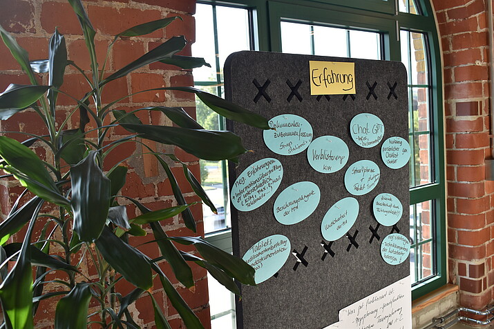 Result Cards on the Topic of "Experiences"
