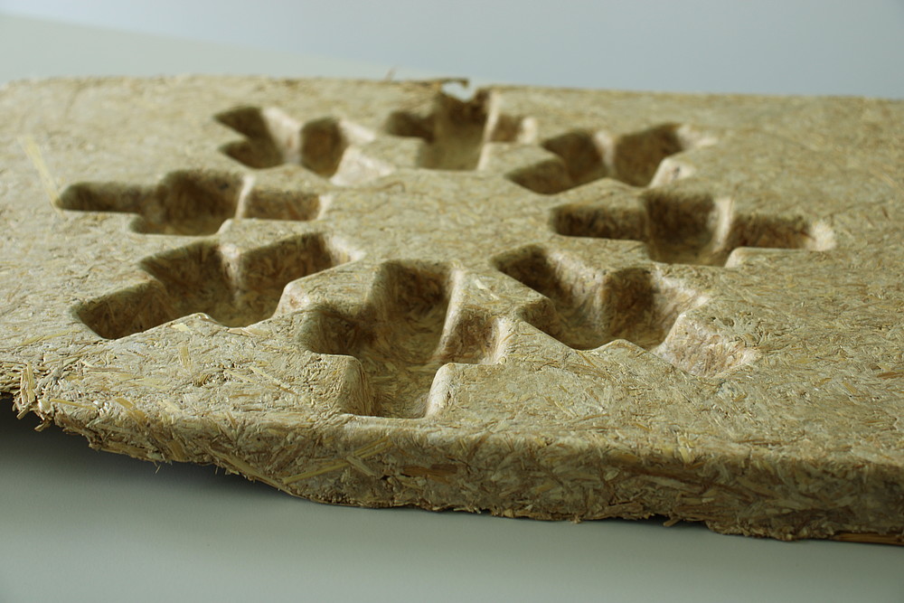 Bulk packaging made from bio-based disposable material
