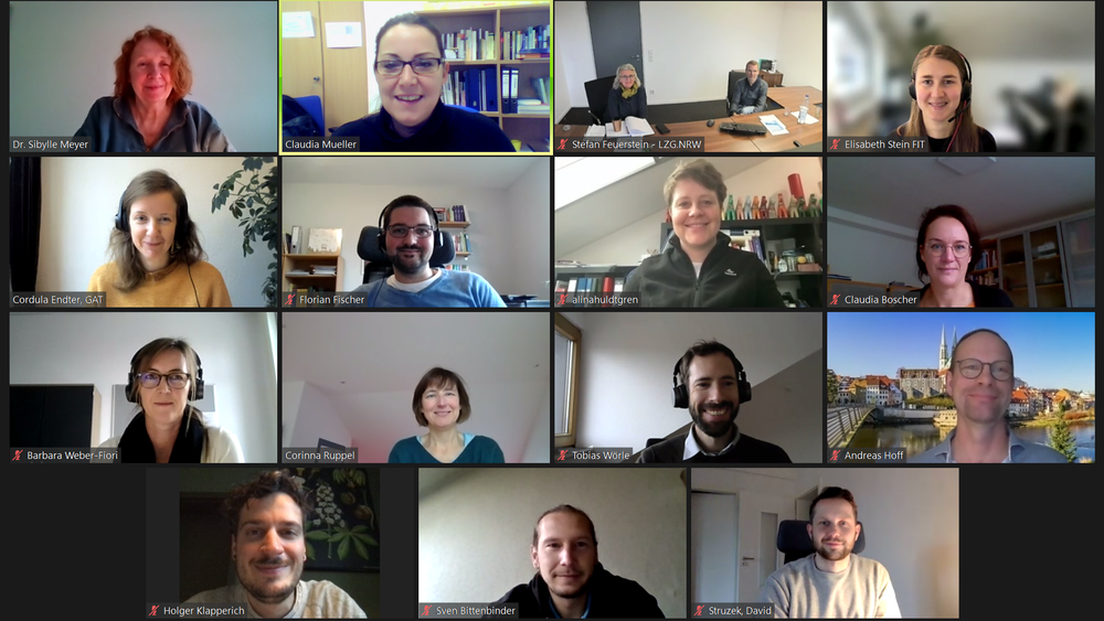 Participants in the CoCre-HIT project meeting during an online meeting. Everyone smiles into their cameras.