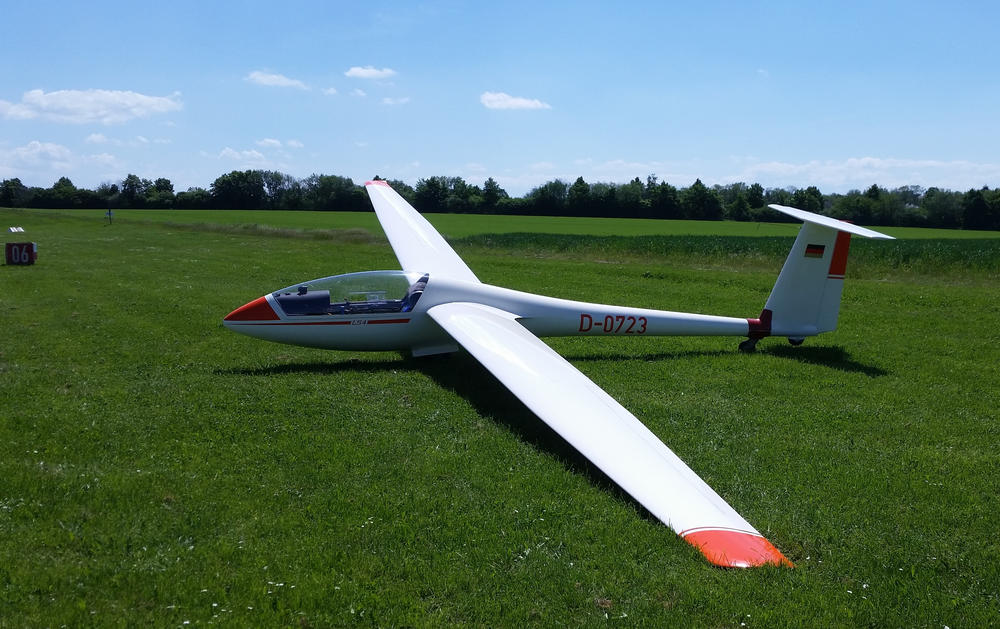 Segelflugzeug auf Rasen.