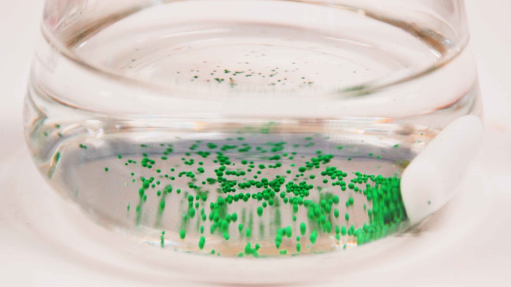 The Department of Chemistry revives a traditional event in Zittau