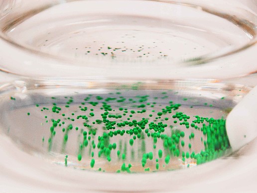 The Department of Chemistry revives a traditional event in Zittau