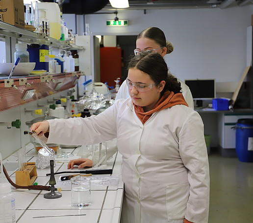 A student experiments with a test tube over a Bunsen burner in the inorganic chemistry laboratory.