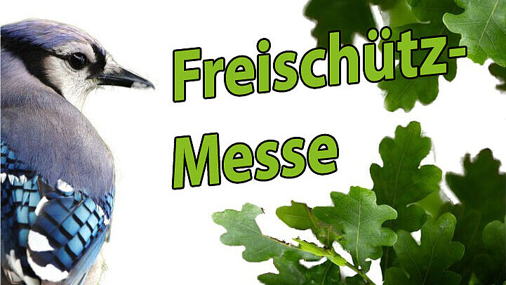 The HSZG choir is once again giving a summer concert this year