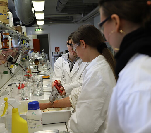 One student stretches out her right arm while another slides a saw blade with a protective cap over her arm.