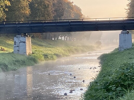 The flowing Mandau with riverbank and bridge in the background.