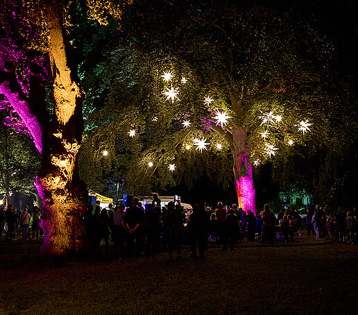Glowing Herrnhut stars illuminate a tree.