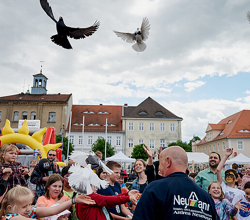 Tauben fliegen über dem Publikum beim Friedensfest.