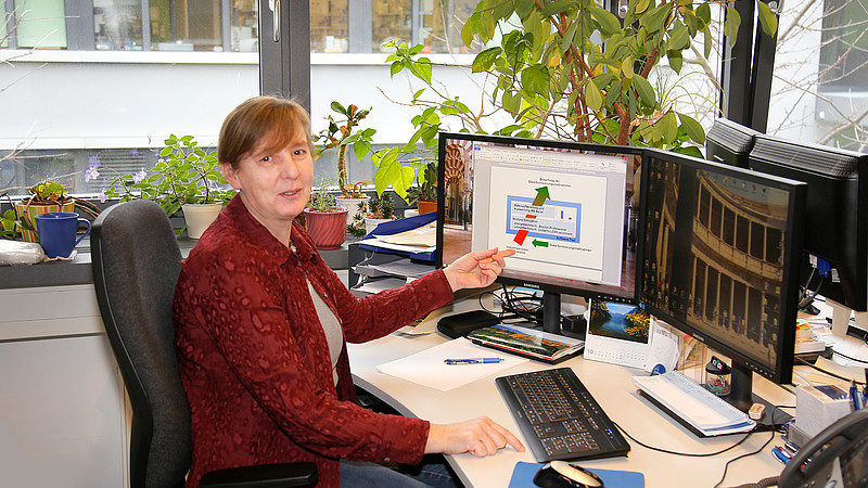 Ulrike Gocht points at the scheme of the analysis tool "Andema".