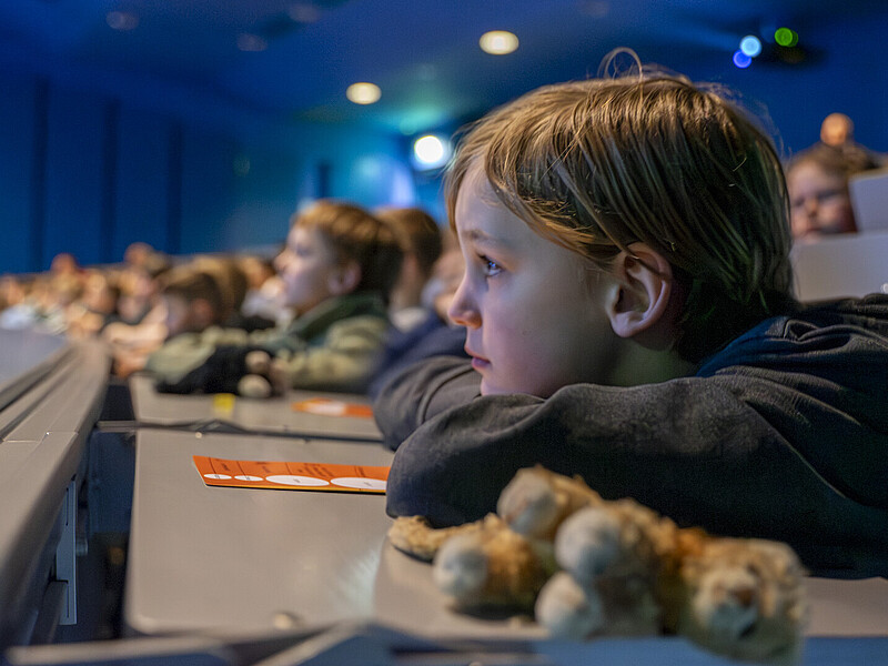 Students sit on benches in the Audimax and listen to the lecture.