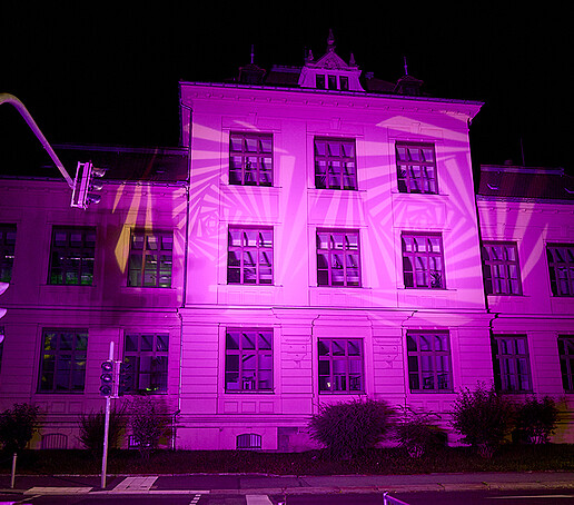 House Z one is illuminated purple.