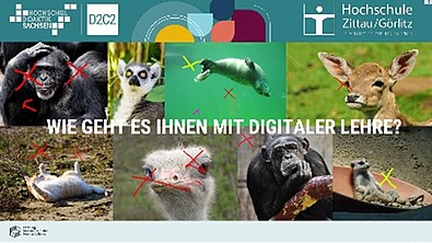 Auf einem Screenshot sind verschiedene Tiere und farbige Kreuze hinterlegt mit dem Schriftzug: Wie geht es Ihnen mit digitaler Lehre?