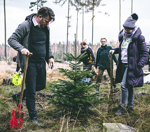 Oberbürgermeister und Prorektorin pflanzen einen Baum ein.