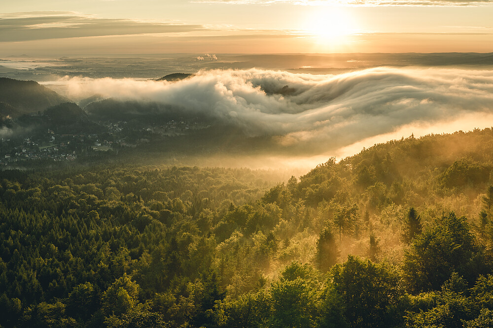 Blick vom Hochwald