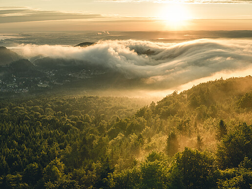 View from the Hochwald