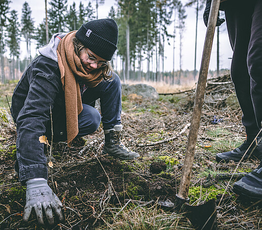 A student planting a seedling.