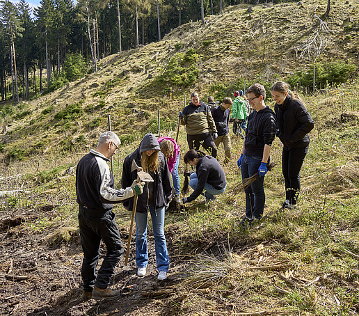 Eine Gruppe Studierender bereitet sich auf der Waldlichtung auf die Einpflanzung vor.