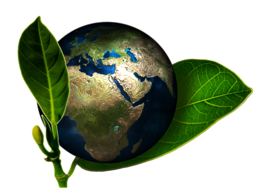 Earth surrounded by leaves