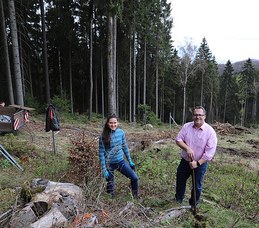 Der Rektor und eine Studierende pflanzen einen Baum im Wald ein.