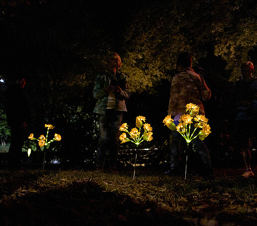 Luminous artificial flowers glow yellow on a meadow in the dark.