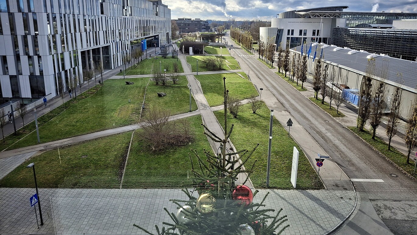 Several university buildings with a green meadow flush right are in the background. The top of a decorated Christmas tree can be seen in the foreground.