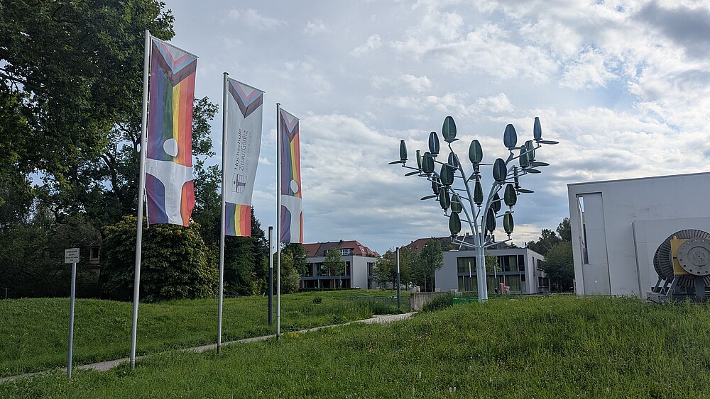 Vor dem Peter-Dierich-Haus am Zittauer Campus der Hochschule Zittau/Görlitz wehen Regenbogenfahnen neben dem erst vor kurzen installierten Wind-PV-Baum.