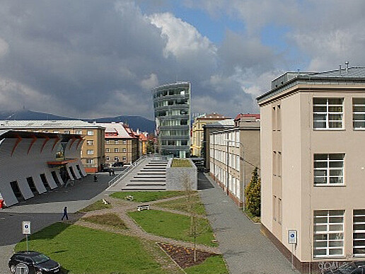 The TU Liberec invited to the topic "New forms of teaching in special education"