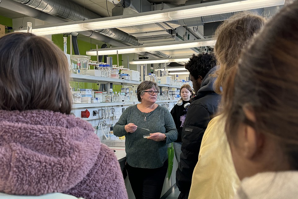 Eine Person steht in einem Labor der HSZG und erklärt einer Gruppe internationaler Studieninteressierter des Rahn Studienkollegs Leipzig verschiedene Laborprozesse. Im Hintergrund sind Regale mit Laborutensilien und Geräten zu sehen. Die Zuhörer stehen in einer Gruppe und folgen den Erklärungen aufmerksam.