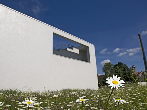 For a sustainable orientation of everyday study and university life for students and employees