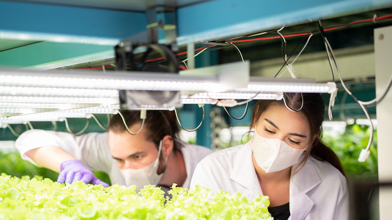 Forschung und Entwicklung