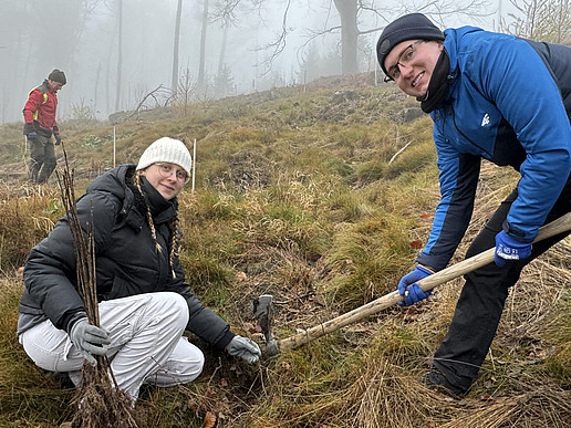 Two students plant a tree.