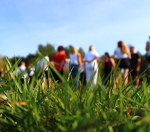 Students stand in a row on a meadow.