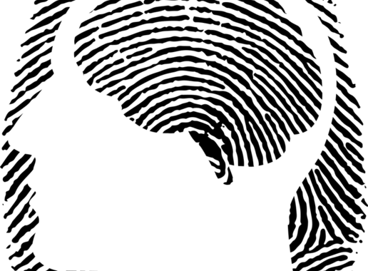 Fingerprint with head silhouette and brain