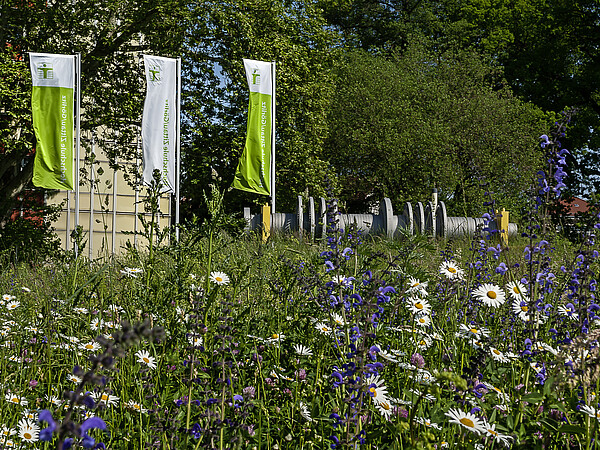 Im Vordergrund sieht man eine bunt blühende Insektenwiese während im Hintergrund drei Fahnen der HSZG stehen. 