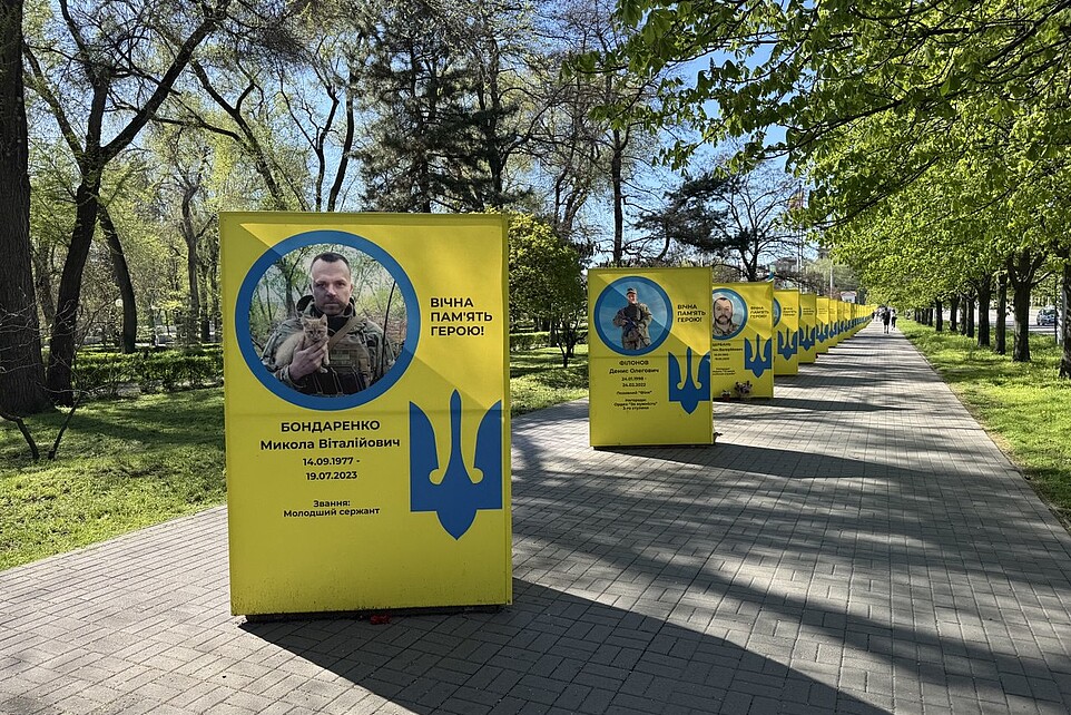 In einer langen Allee unter blühenden Bäumen erinnern großformatige gelbe Gedenktafeln an gefallene Soldaten. Jede Tafel zeigt ein Porträt, Namen, Daten sowie militärische Angaben der Verstorbenen. Die Tafeln stehen in aufrechter Formation entlang eines gepflasterten Weges, gesäumt von Bäumen im Frühlingsgrün.