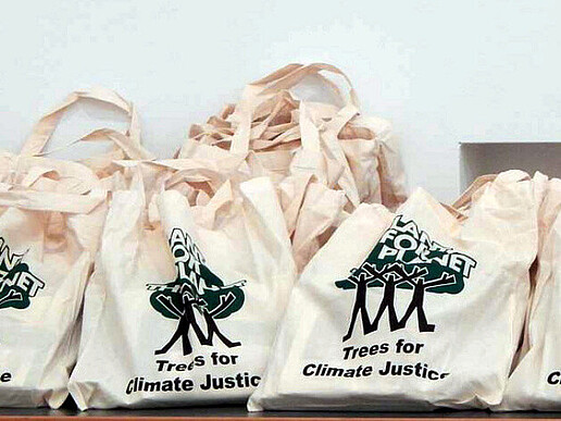 "Plant-for-the-Planet" an der HSZG: Botschafter für Klimagerechtigkeit des Christian-Weise-Gymnasium stellen sich vor