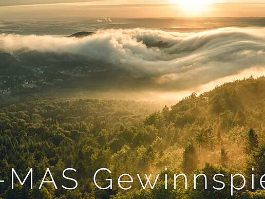 Siegerfoto beim Wettbewerb ´So geht sächsisch´: „Scharfenstein im Nebelmeer“ 