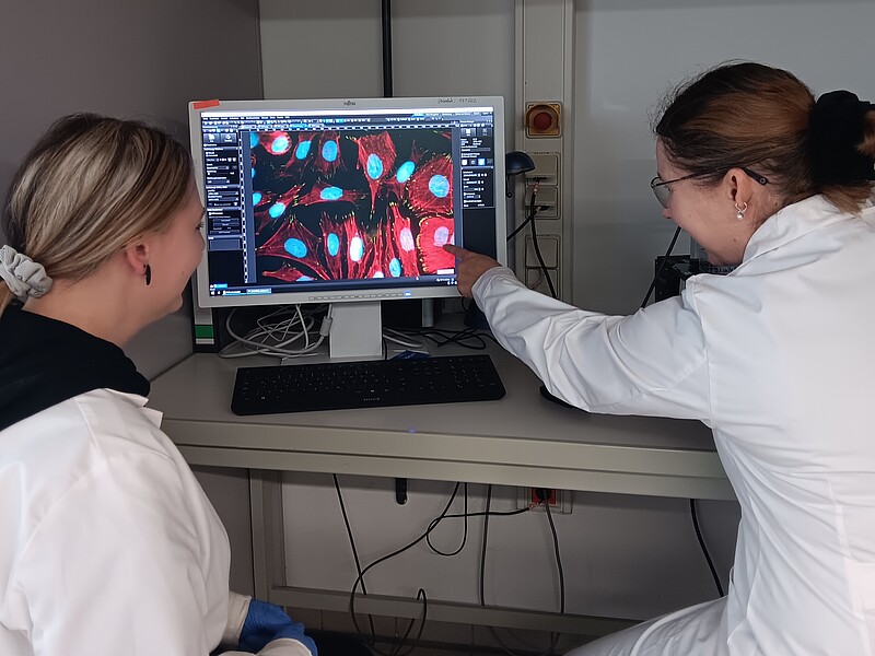 Prof. Dr. Elisa Wirthgen and a colleague are looking at a cell image on a screen together in the lab.