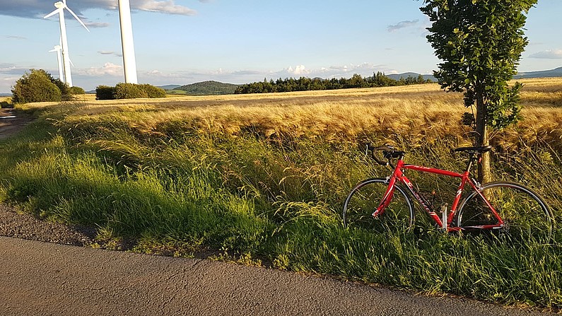 Fahrrad angelehnt an einen Baum vor einem Kornfeld im Sonnenuntergang