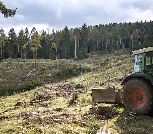 Auf eine kahle Waldlichtung fährt ein Traktor ein.