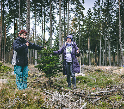 Chancellor and Vice-Chancellor in the forest planting, both showing their thumbs up.