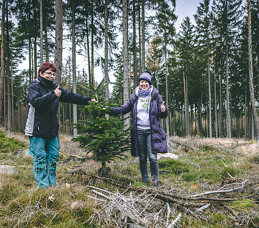 Kanzlerin und Prorektorin im Wald beim Einpflanzen, beide zeigen ihren gehobenen Daumen.