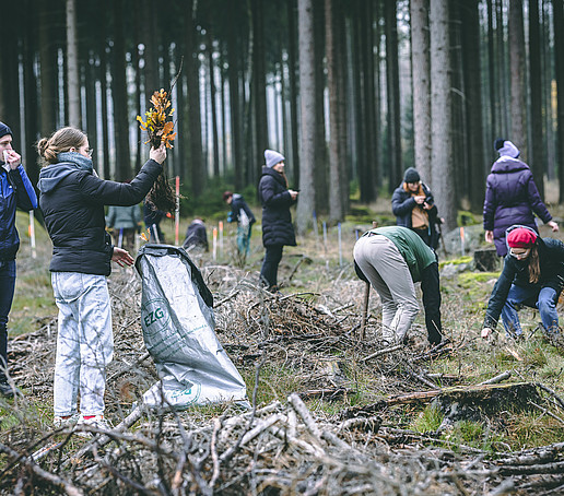 Student group in the forest