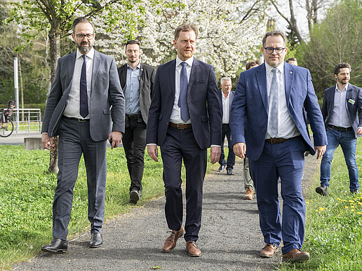 Die Teilnehmenden der Baumpflanzung gehen auf einem von Bäumen gesäumten Weg auf dem Zittauer Campus.